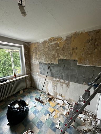 Küche entkernen