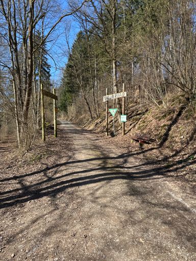 Waldpfad bei Hardegsen